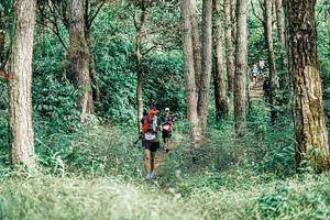 BIB: 
                            <button type="button" onclick="openModal(25236996)" class="btn btn-primary btn-sm float-right btn-popup" data-toggle="modal" data-target=".modal-high-quality">
                        <i class="fas fa-shopping-cart"></i> Add to Cart
                    </button>
                                            <button type="button" onclick="isThisMe(25236996, true)" class="btn btn-success btn-sm float-right btn-popup btn-isme hidden" data-toggle="tooltip" data-placement="bottom" title="นี่คือรูปของคุณใช่ไหม คลิกที่นี่เพื่อเอาเข้าอัลบั้ม">
                        <i class="fas fa-plus"></i> Add to album
                    </button>
                    <button type="button" onclick="isThisMe(25236996, false)" class="btn btn-warning btn-sm float-right btn-popup btn-isnotme hidden">
                        <i class="fas fa-ban"></i> Remove from album
                    </button>